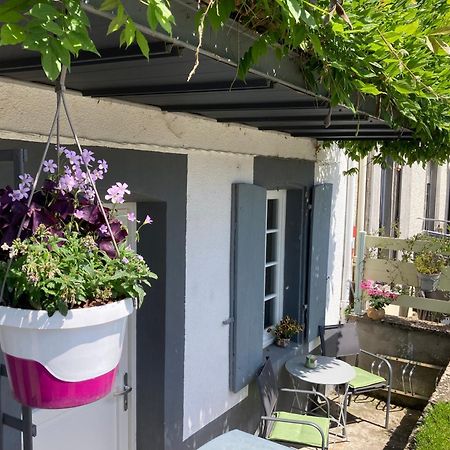 Le Lodge De Serenite Cuffy Eksteriør billede