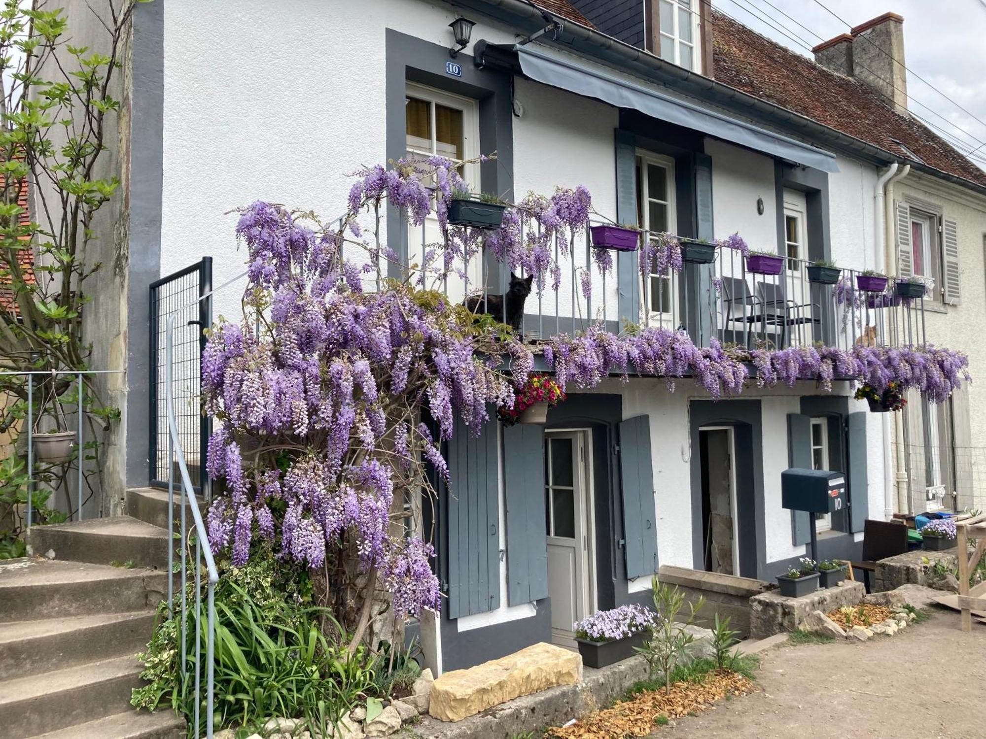 Le Lodge De Serenite Cuffy Eksteriør billede