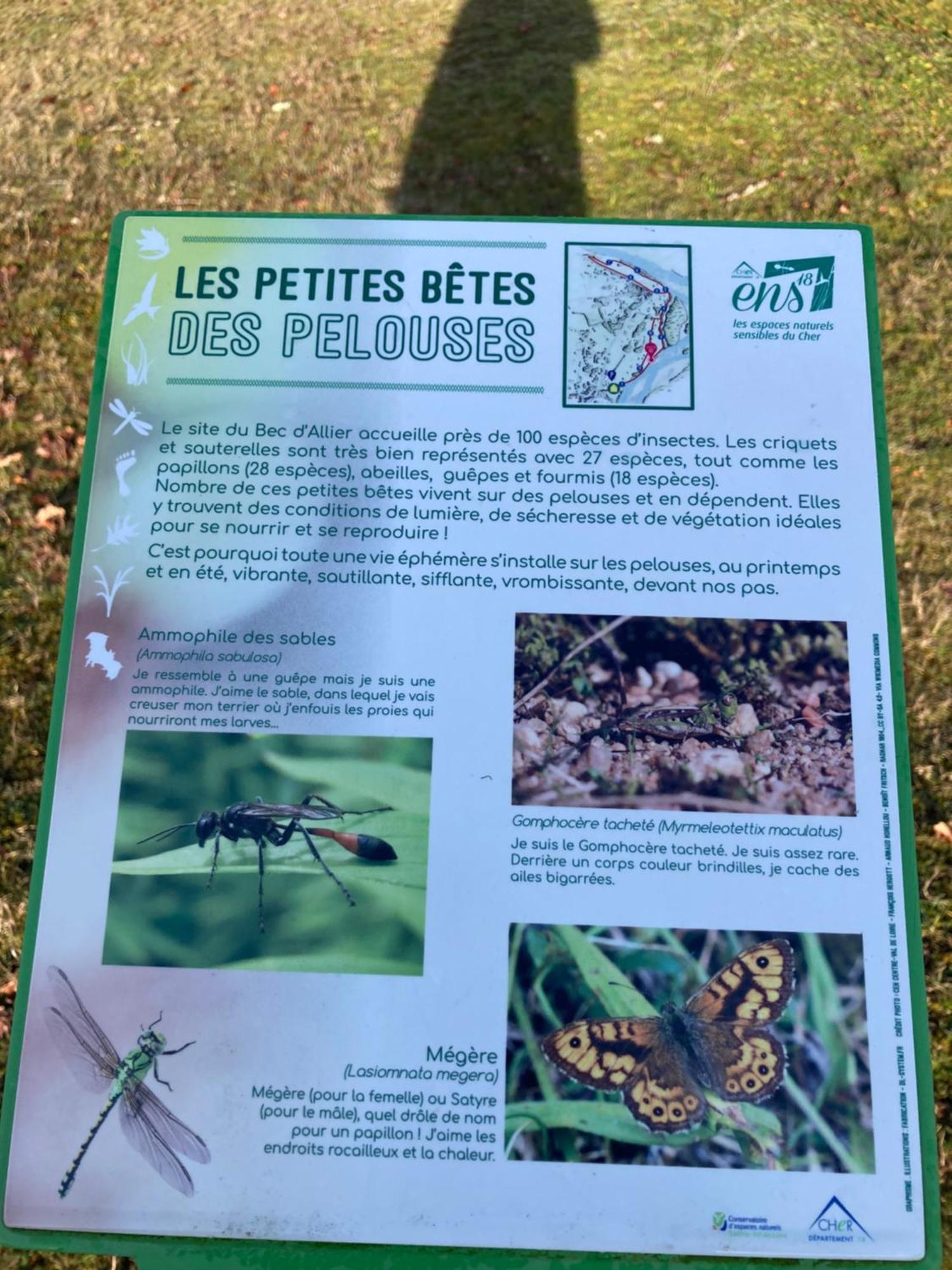 Le Lodge De Serenite Cuffy Eksteriør billede